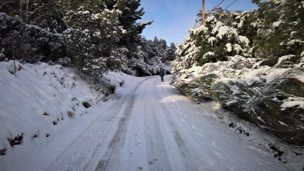 Apartment Blue Bird Flat San Carlos de Bariloche
