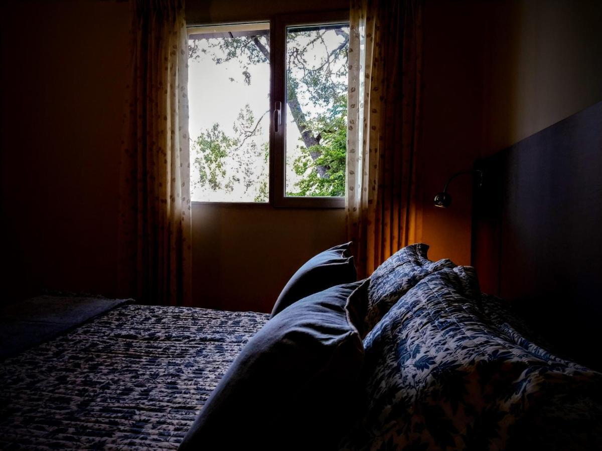 Apartment Blue Bird Flat San Carlos de Bariloche